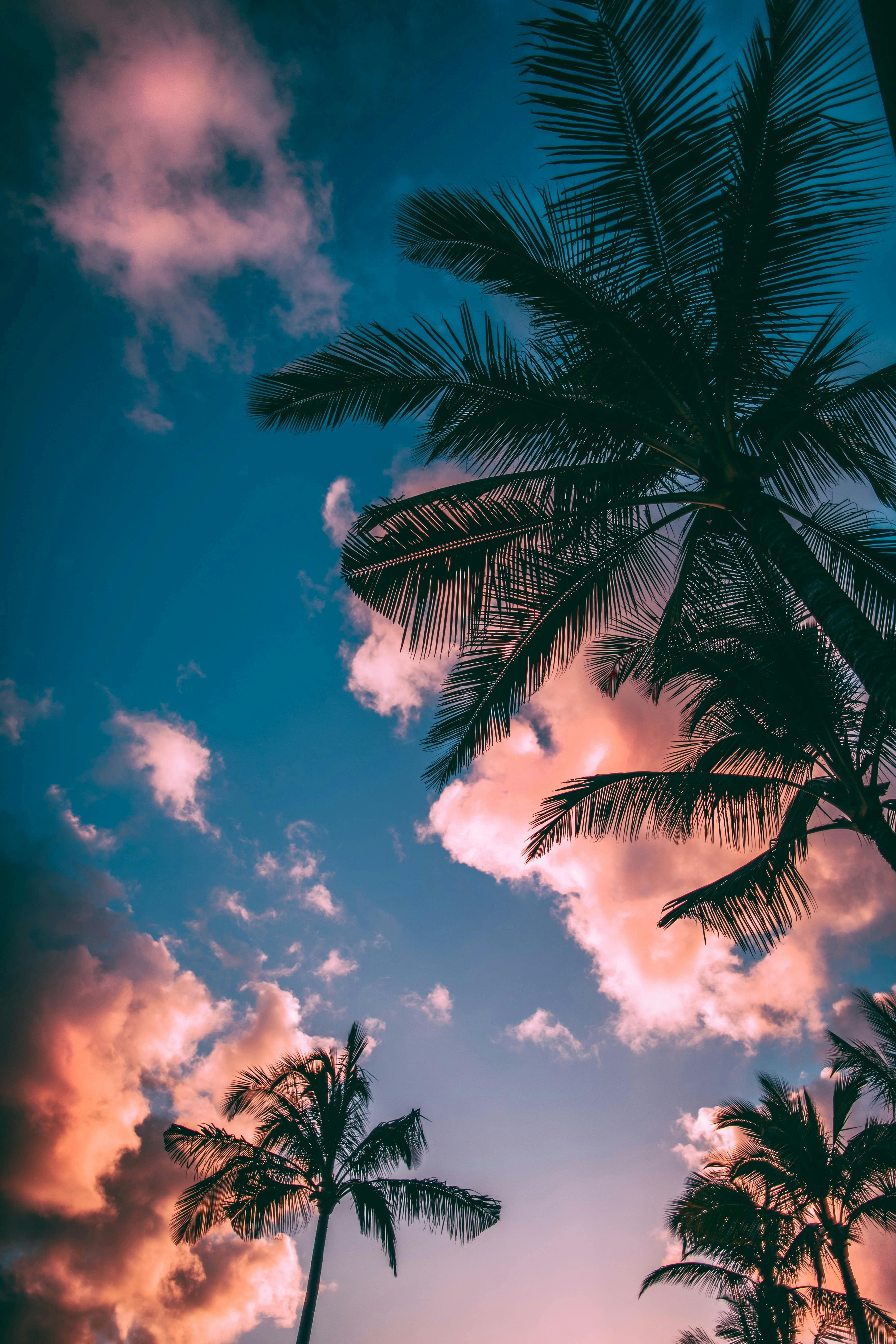 Abstract Waves Wallpaper