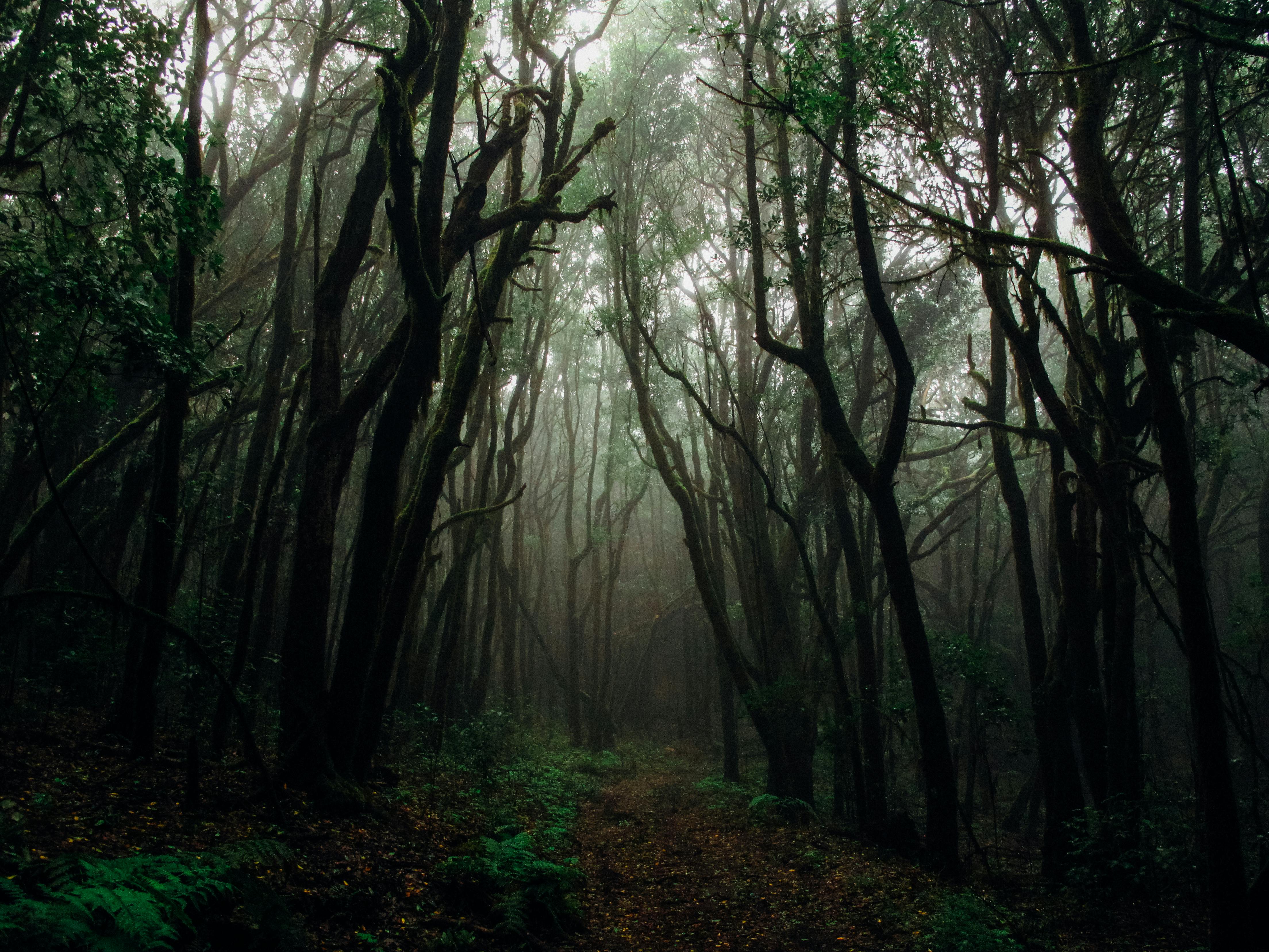 Living Nature